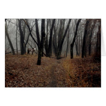 Spirit Pony in a Shrouded Wood Card