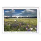 Spirit Pony in High Country Lupine Field (Front Horizontal)