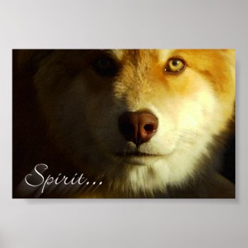 Spirit Poster by AeonMX at Zazzle