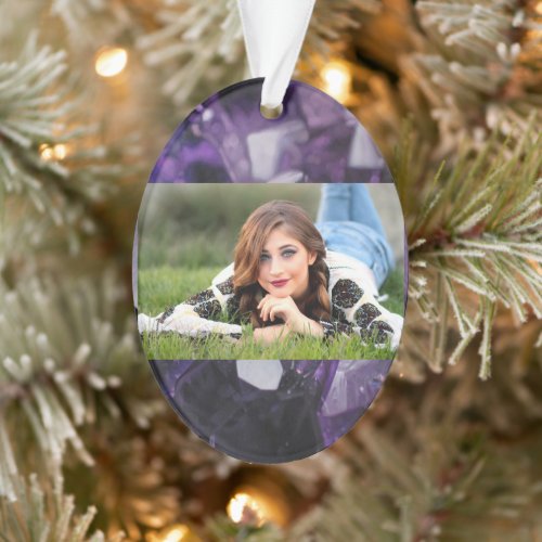 spirit quartz healing holistic purple amethyst ornament