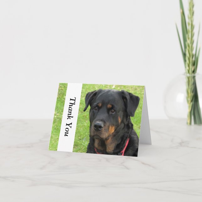 Spirit Rottweiler Thank You Note Card (Front)
