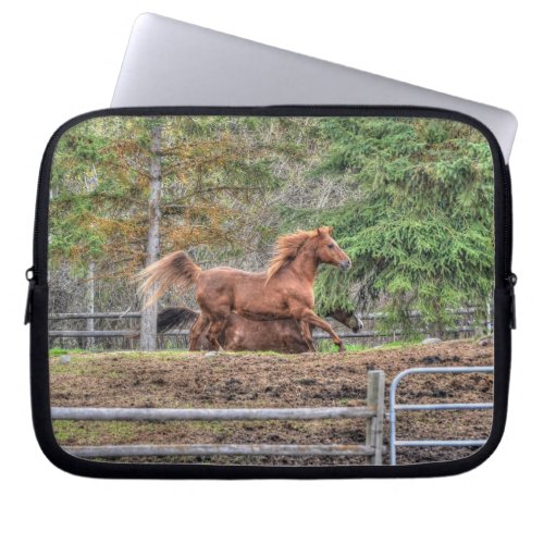 Spirited Dun Pony and Chestnut Ranch Horse Racing Laptop Sleeve