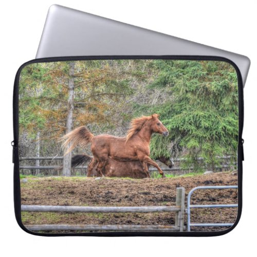 Spirited Dun Pony and Chestnut Ranch Horse Racing Laptop Sleeve