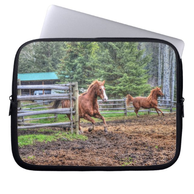 Spirited Dun Pony and Chestnut Ranch Horse Racing Laptop Sleeve (Front)