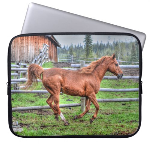 Spirited Dun Pony Horse Running on Ranch I Laptop Sleeve