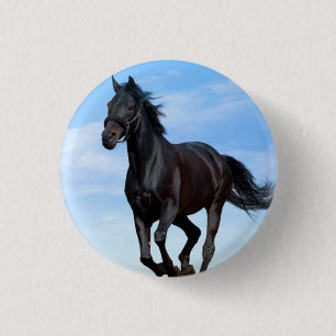 Spirited Horse Round Buttons