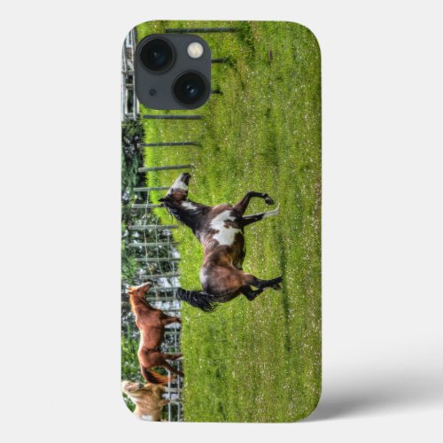 Spirited Paint Horse Equine Photo for Horse_lovers iPhone 13 Case