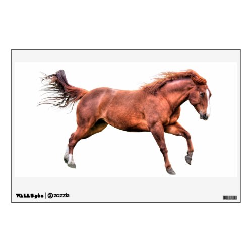 Spirited Red Dun Ranch Horse Equine_lover Photo Wall Decal