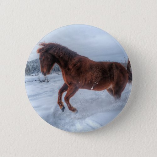 Spirited Sorrel Horse Rearing Up in Winter Snow Button