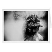 spirits and chickens 2 (Front Horizontal)