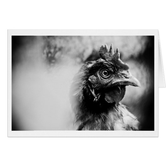 spirits and chickens 2 cards (Front Horizontal)