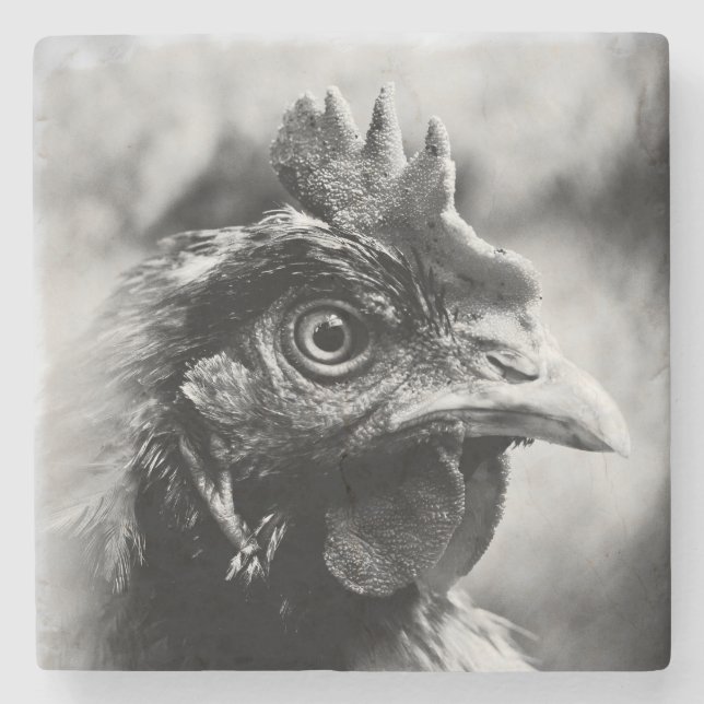 spirits and chickens 2 stone coaster (Front)