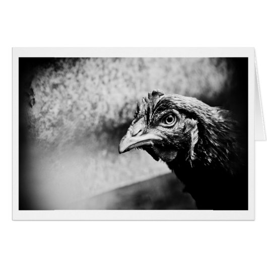 spirits and chickens cards (Front Horizontal)