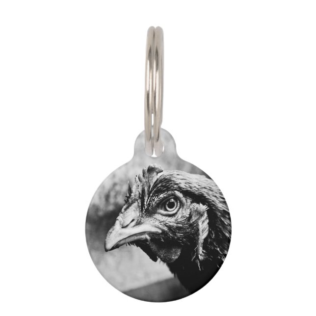 spirits and chickens pet tag (Front)