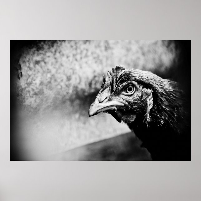 spirits and chickens poster (Front)