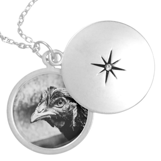 spirits and chickens silver plated necklace (Front)