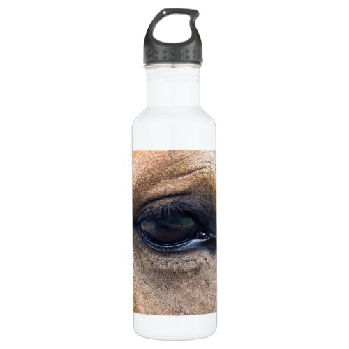 Spirits Eye Water Bottle