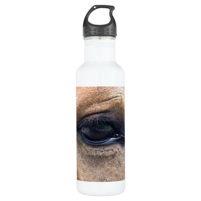 Spirit's Eye Water Bottle (Front)