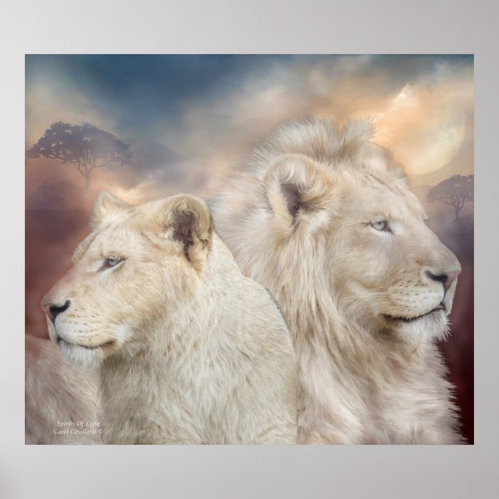 Spirits Of Light   White Lion Art Poster/Print