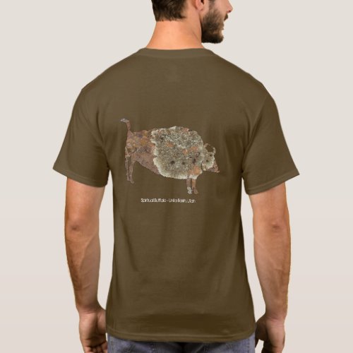 Spiritual Buffalo Petroglyph T_Shirt