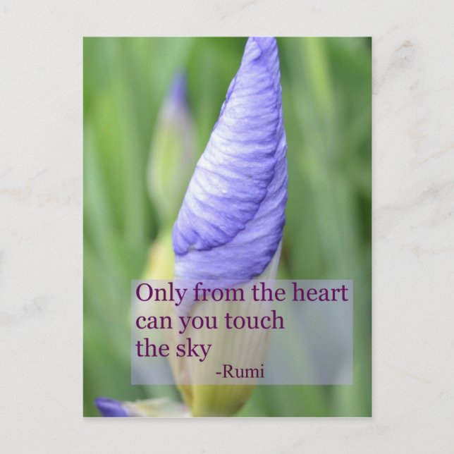 Spiritual Iris Inspirational Rumi Quote Postcard (Front)
