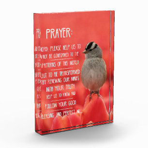 Spiritual Journey Notebook: Romans 12:2 Prayer Acrylic Award