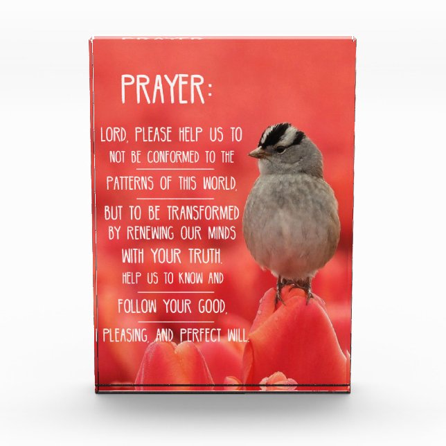 Spiritual Journey Notebook: Romans 12:2 Prayer Photo Block (Front)