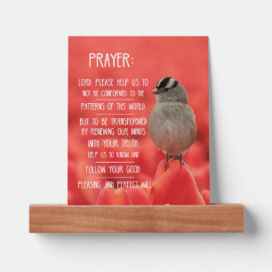 Spiritual Journey Notebook: Romans 12:2 Prayer Picture Ledge