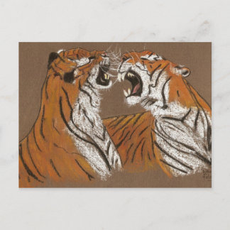 Spitting Mad Tigers - postcard
