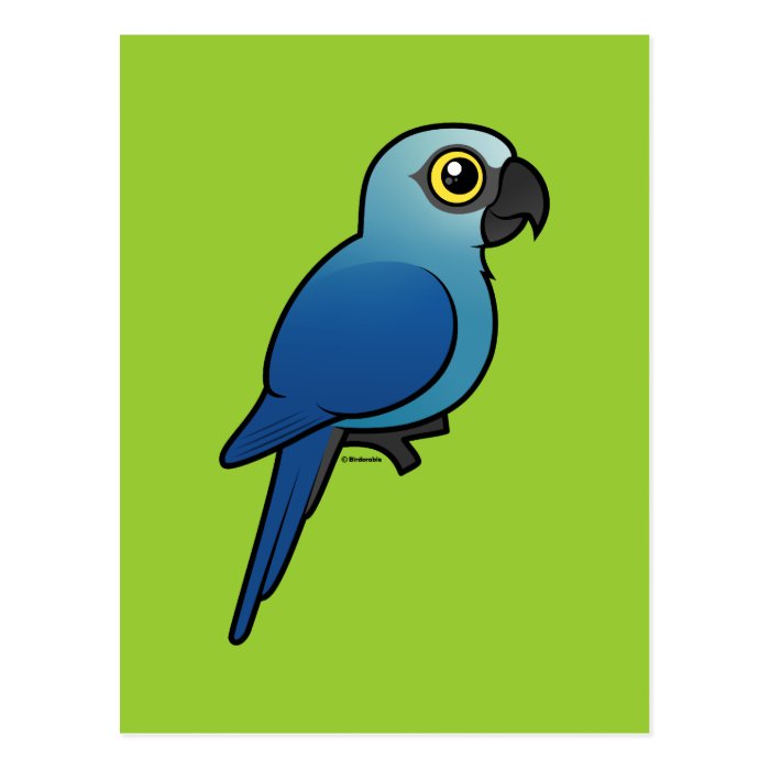 Spix's Macaw Postcards