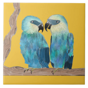 Spix's Macaws on a Ceramic Tile - (Y)