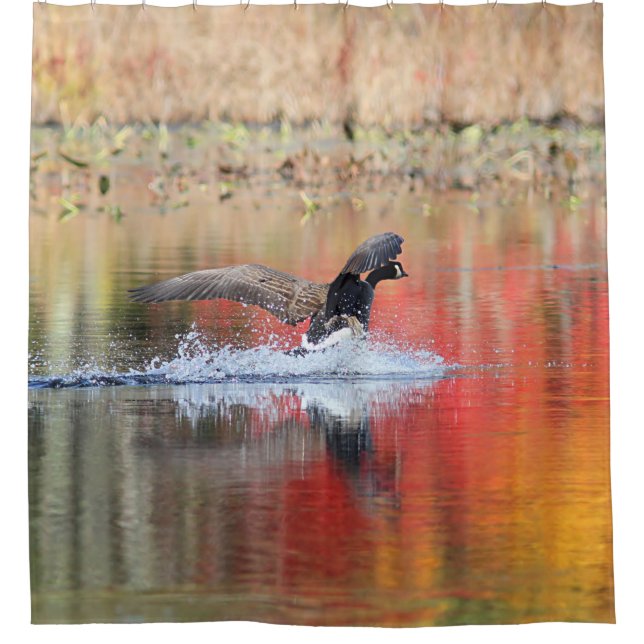 Splash - Canada Goose Landing Shower Curtain (Front)