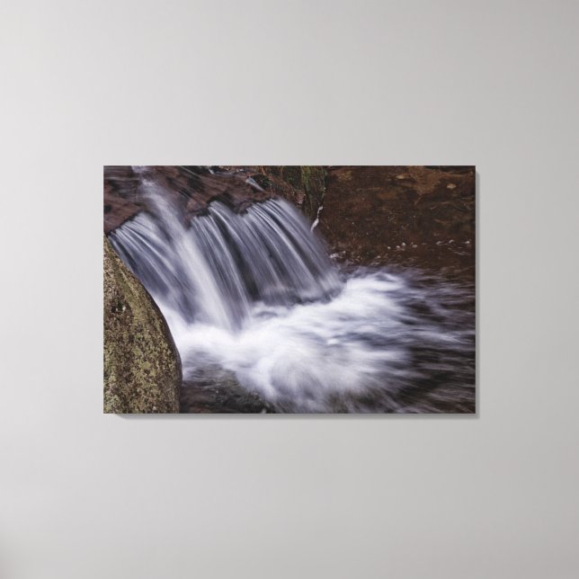 Splash Canvas Print (Front)