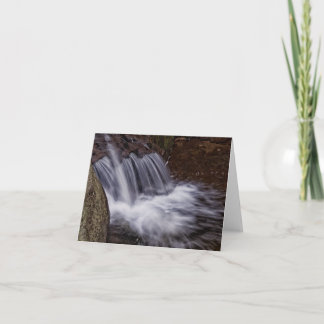 Splash Card