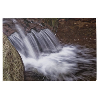 Splash Metal Print