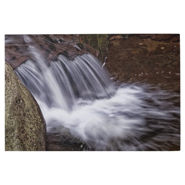 Splash Metal Print (Front)
