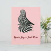 Splash Muffed Tumbler Pigeon (Standing Front)