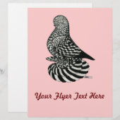 Splash Muffed Tumbler Pigeon (Front/Back)