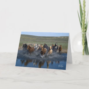 Splash! note card