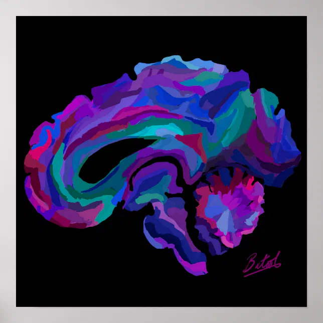 Splash of Color Brain Poster | Zazzle
