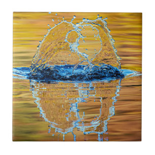 Splash on a fall evening ceramic tile
