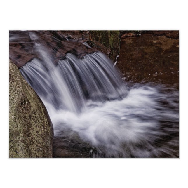Splash Photo Print (Front)