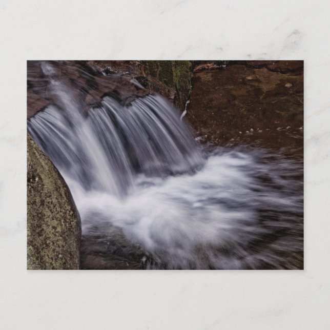 Splash Postcard (Front)