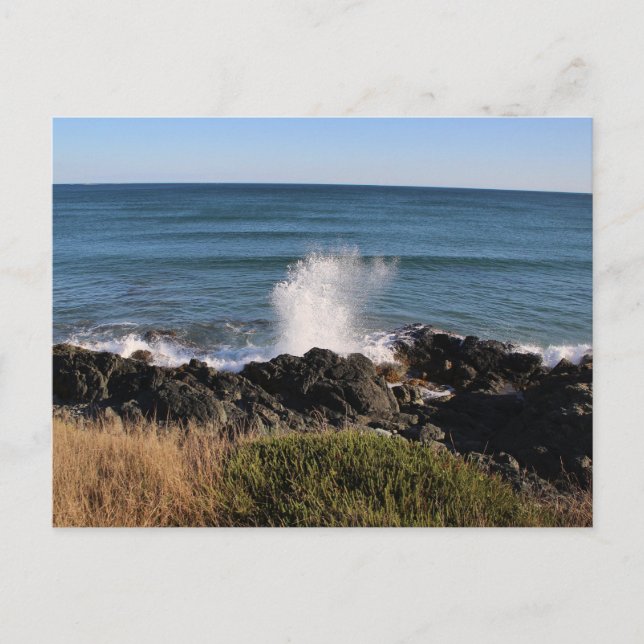 Splash! Postcard (Front)