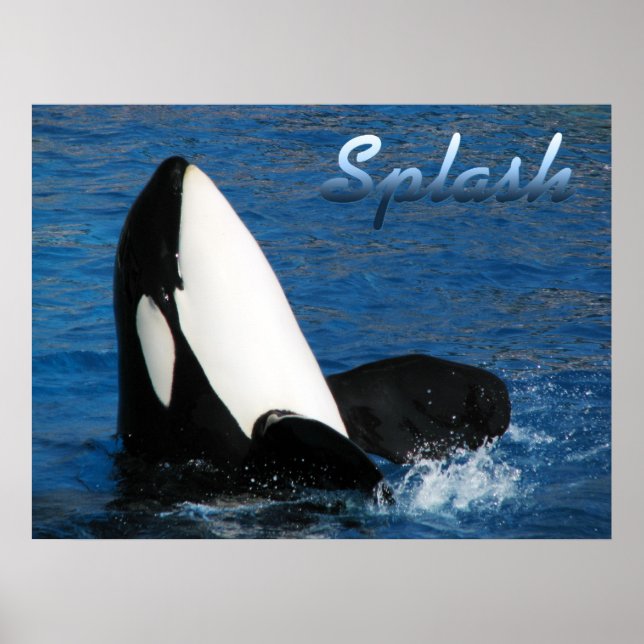 Splash Poster (Front)