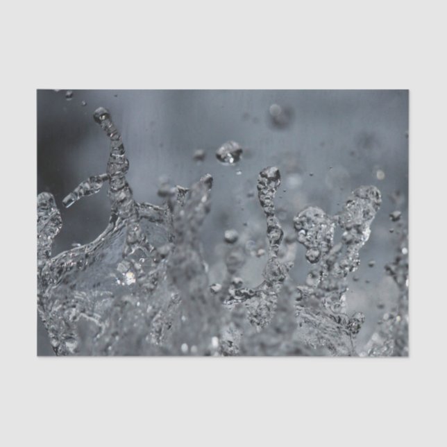 Splash   tissue paper (Front)