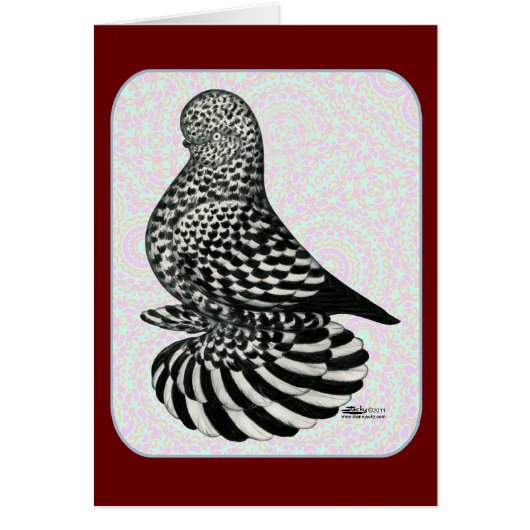 Splash Tumbler Colors (Front)