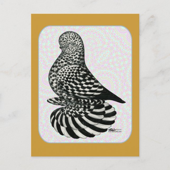 Splash Tumbler Colors Postcard (Front)