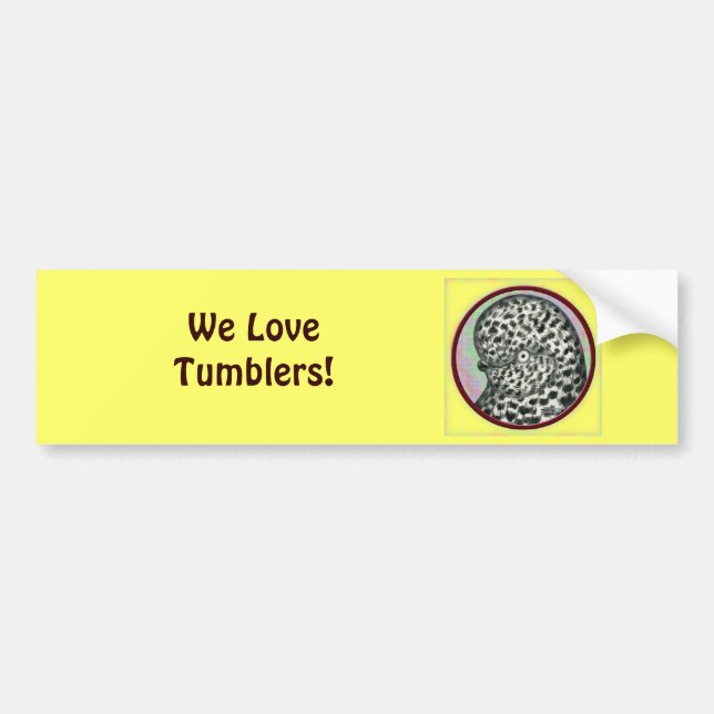 Splash Tumbler Pigeon Circle Bumper Sticker (Front)