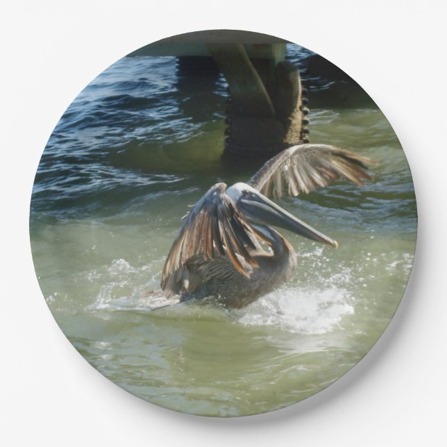 Splashdown Paper Plates (Front)